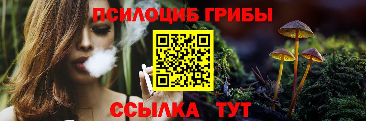 Галлюциногенные грибы мухоморы Славгород