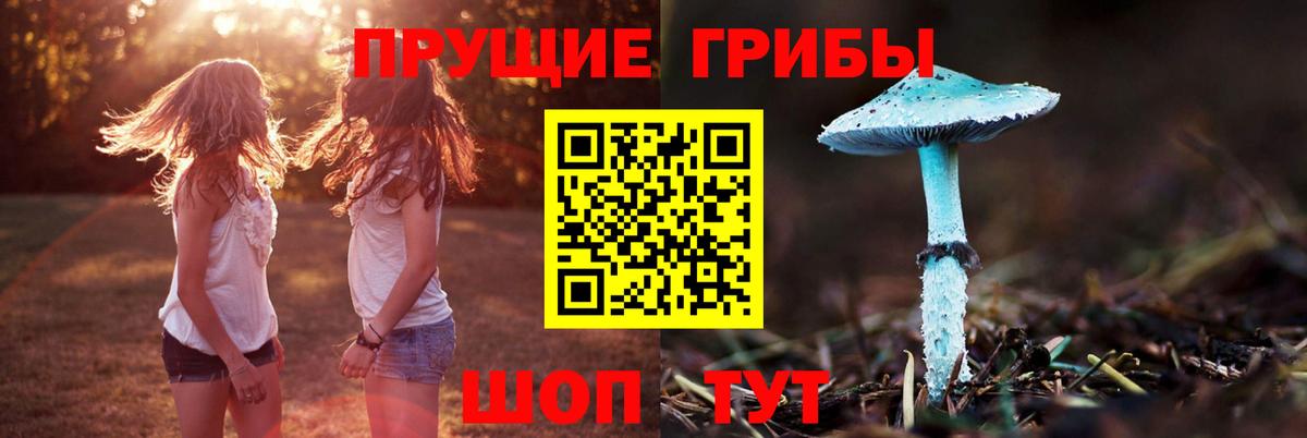 Славгород  цена наркотик  Вход с VPN  Галлюциногенные грибы мицелий 
